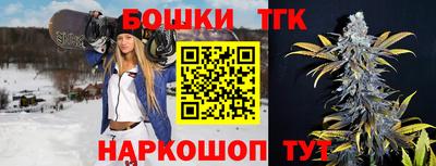 сатива Славгород