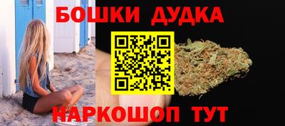 сатива Славгород