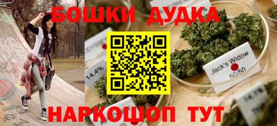 сатива Славгород