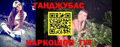 сатива Славгород