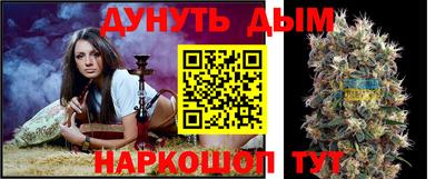 сатива Славгород