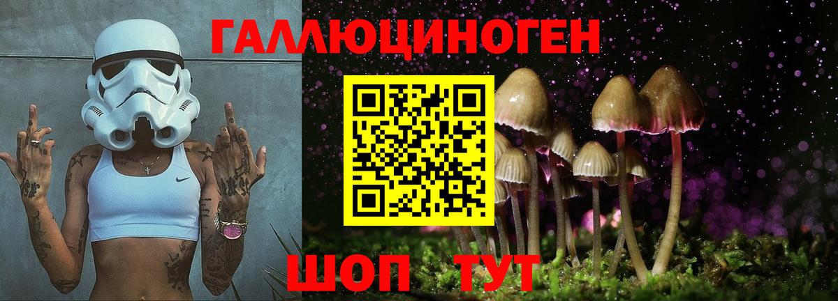 Новодвинск  Псилоцибиновые грибы ЛСД  Галлюциногенные грибы MAGIC MUSHROOMS  Вход с VPN 